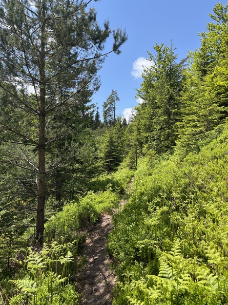 22-05-29 13-07-36 0972.jpg